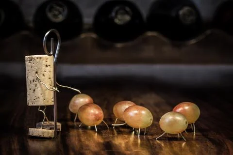 Wine cork figures, concept 스톡 사진
