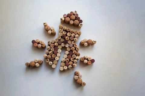 Wine corks insect Stock Photos