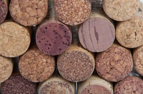 Wine corks isolated on the white Stock Photos