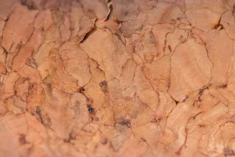 Wine corks macro Stock Photos