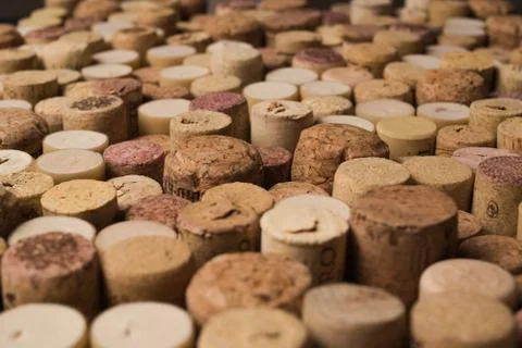 Wine corks texture background. Winery material texture Stock Photos