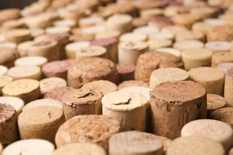 Wine corks texture background. Winery material texture Stock Photos