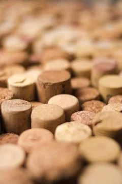 Wine corks texture background. Winery material texture Stock Photos