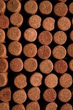 Wine corks on white background, stylish card with copy space for text and deep Stock Photos
