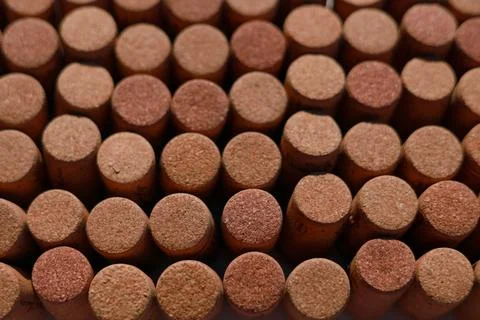 Wine corks on white background, stylish card with copy space for text and deep Stock Photos
