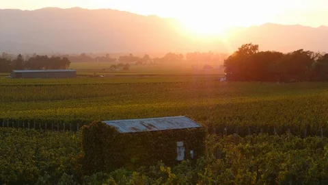 The Wine Country Stock Footage 93412245