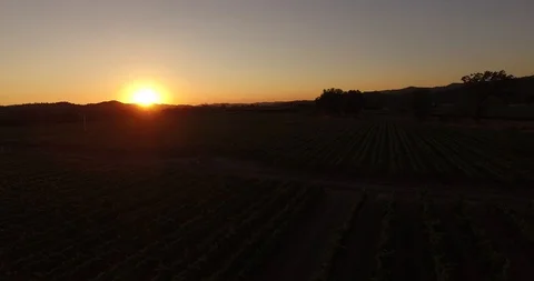 Wine country at sunset Stock Footage 95544892