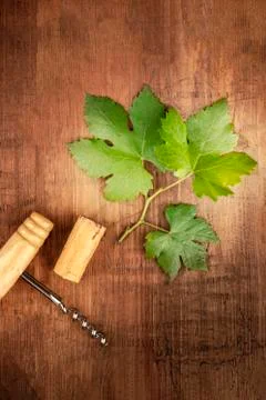 Wine design template. A vine leaf with a vintage corkscrew and a cork, shot from Foto stock