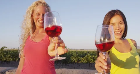 Wine drinking friends toasting drinks at vineyard - close up of wine glasses Video stock 86340002