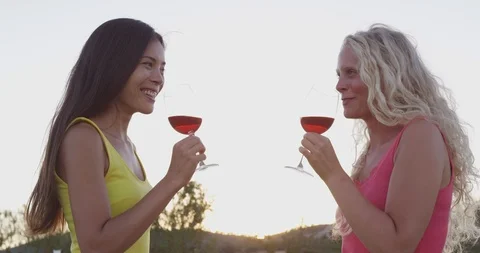 Wine drinking friends toasting drinks at vineyard - close up of wine glasses Stock Footage 86341245