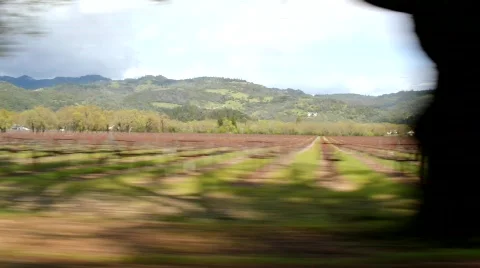 Wine Driving Video stock 692187