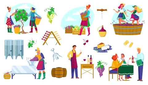 Wine factory production vector illustration set, cartoon flat winemaker イラスト素材