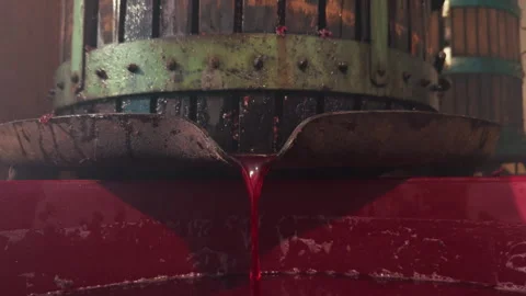 Wine Falling Down From The Barrel Inside A Giant Recipient Stock Footage 320290285
