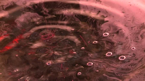 Wine falling drops Stock Footage 51168719