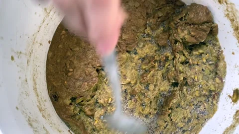 Wine fermentation, the process of fermentation of grape must at home Vídeos de archivo 246048899