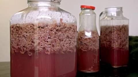 Wine fermentation process in glass jars Stock Footage 331558088