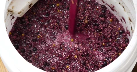 Wine fermentation, the process of making wine from grapes Stock Footage 212060409