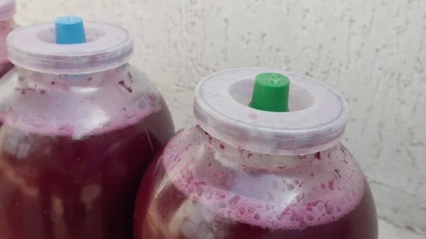 Wine Fermentation Process under Special Covers, Small Bubbles in a Jar of Wine Stock Footage 117185134