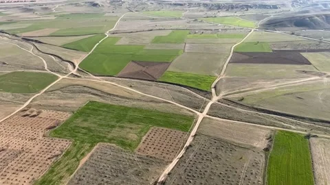 Wine Fields From Above Stock Footage 238921461