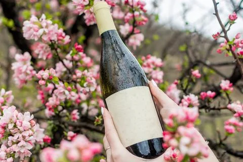 Wine in flowering trees Stock Photos