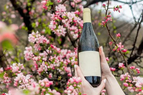 Wine in flowering trees Foto stock