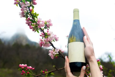 Wine in flowering trees Stock-Fotos