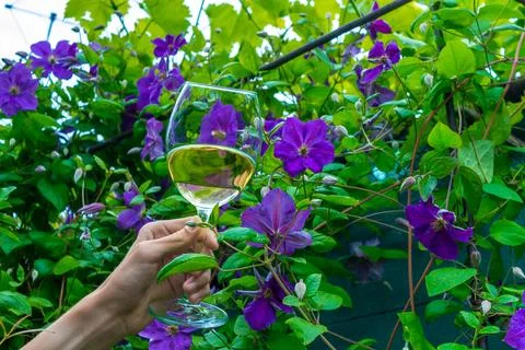 Wine in flowers Stock Photos