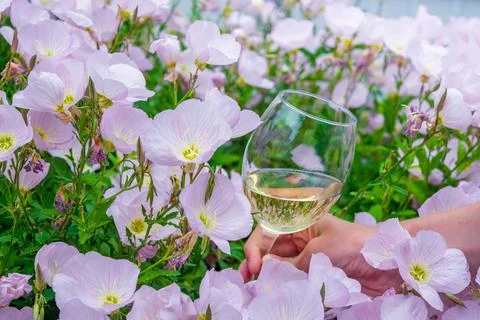 Wine in flowers Stock Photos