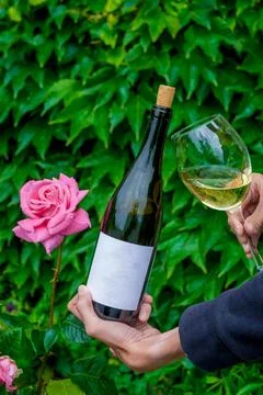 Wine in flowers Foto stock