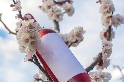 Wine in flowers Stock Photos