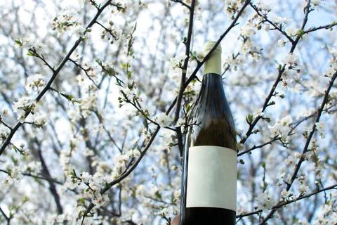 Wine in flowers Stock Photos
