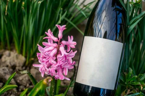 Wine in flowers Stock Photos