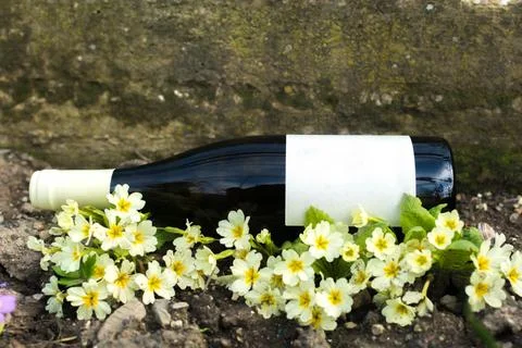 Wine in flowers Stock Photos