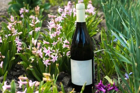 Wine in flowers Stock Photos