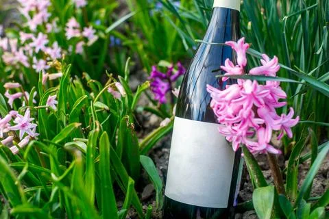 Wine in flowers Stock Photos