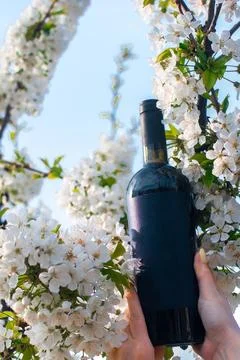 Wine in flowers Foto stock