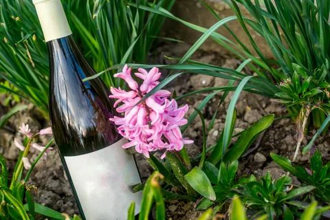 Wine in flowers Stock Photos