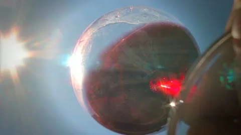 Wine Vídeos de archivo 11139914