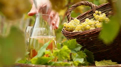 Wine Stock Footage 24651392