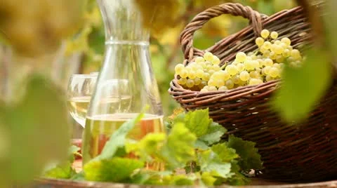 Wine Stock Footage 24651415