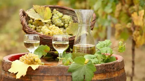 Wine 库存影片 24651426