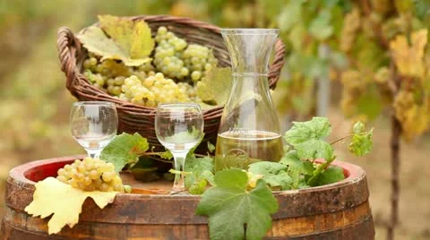 Wine Stock Footage 24651503