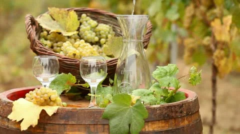 Wine Stock Footage 24651518