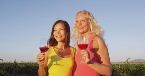 Wine - Friends drinking red rose wine at vineyard at wine tasting Video stock 86339920