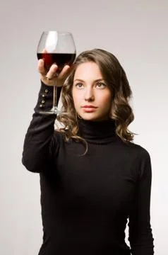 Wine fun. Stock Photos