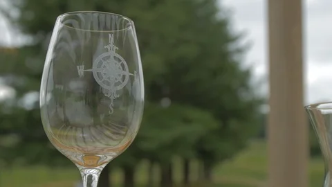 Wine glass with compass on it Stock Footage 95039258