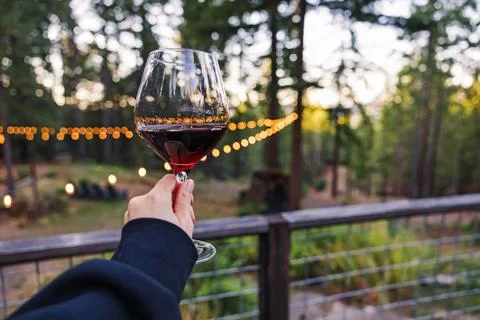 Wine Glass in Forest Setting 스톡 사진
