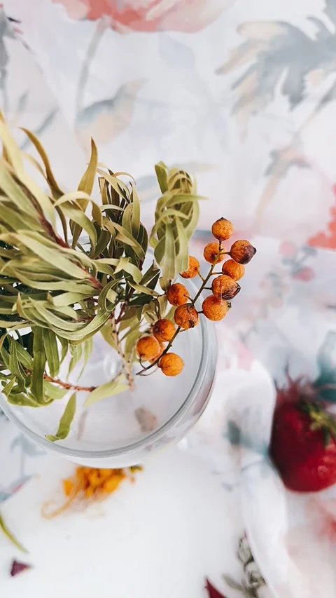 Wine glass full of plants, table setting, Stock Footage 229311545