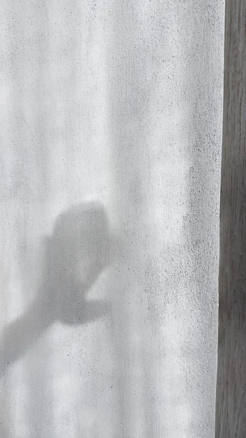Wine Glass Shadow on Brutalist Concrete Wall in Natural Light Vertical Stock Footage 339433906