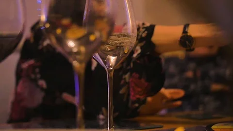 Wine Glass Slow Motion Stock Footage 101482213